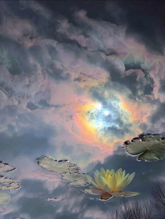 Floating in a Dream